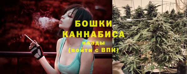 PSILOCYBIN Балабаново