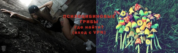 PSILOCYBIN Балабаново